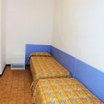 With Private Entrance شقة بيبيوني